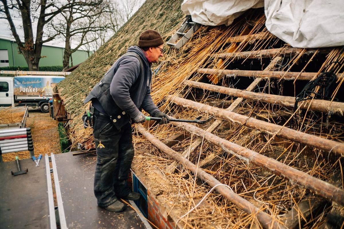 Ein Handwerker steht auf der Lattung und zieht altes Reet ab, oben eine weiße Plane.