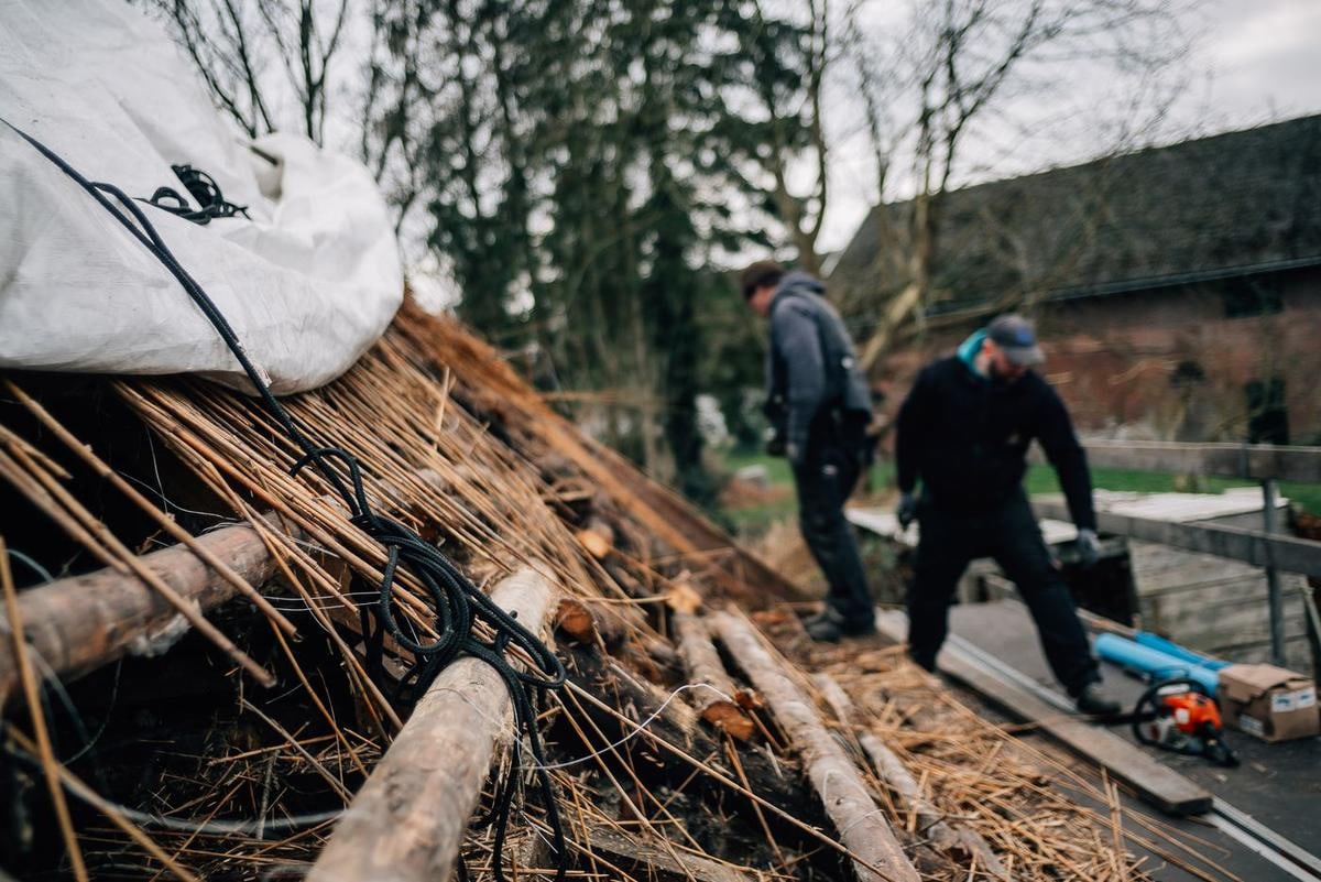 Zwei Handwerker an der Traufe, Rundholz und Reetbunde am Boden.
