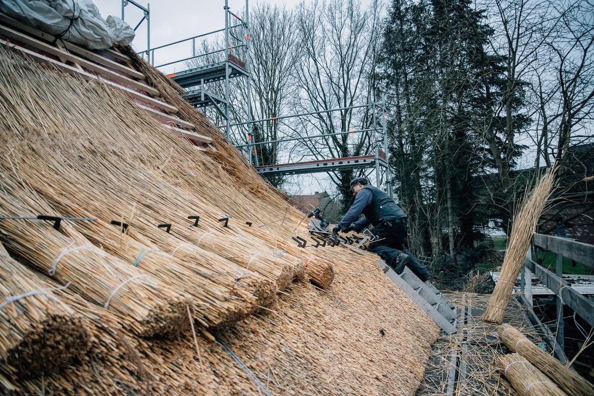 Frische Reetbunde an der Traufe, oben das Gerüst.