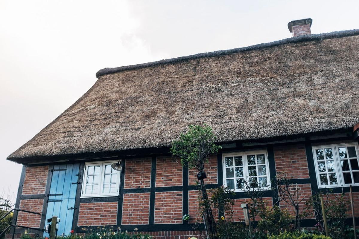 Reetdachhaus mit Fachwerk, davor ein Rosenstrauch.