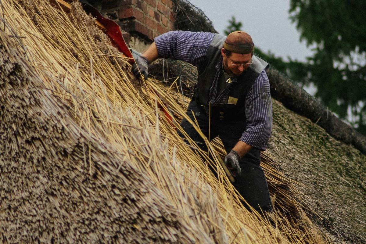 Handwerker beugt sich über frisch eingelegtes Reet.
