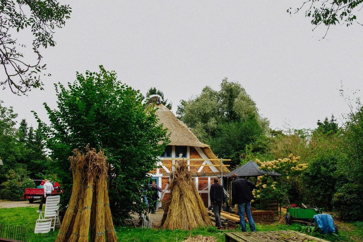 Reetbunde zu Hocken aufgestellt, dahinter ein Reetdachhaus.