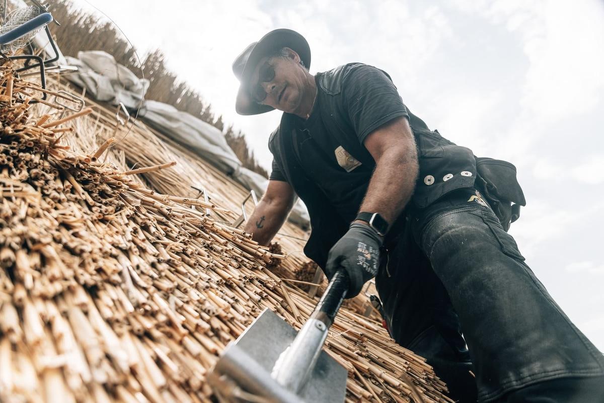 Handwerker mit Hut drückt ein Klopfbrett ins Reet.