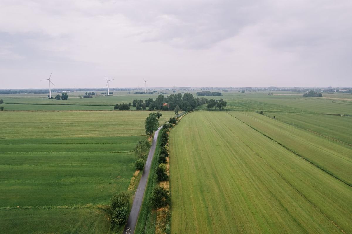 Luftbild weiter grüner Felder mit einem Weg.