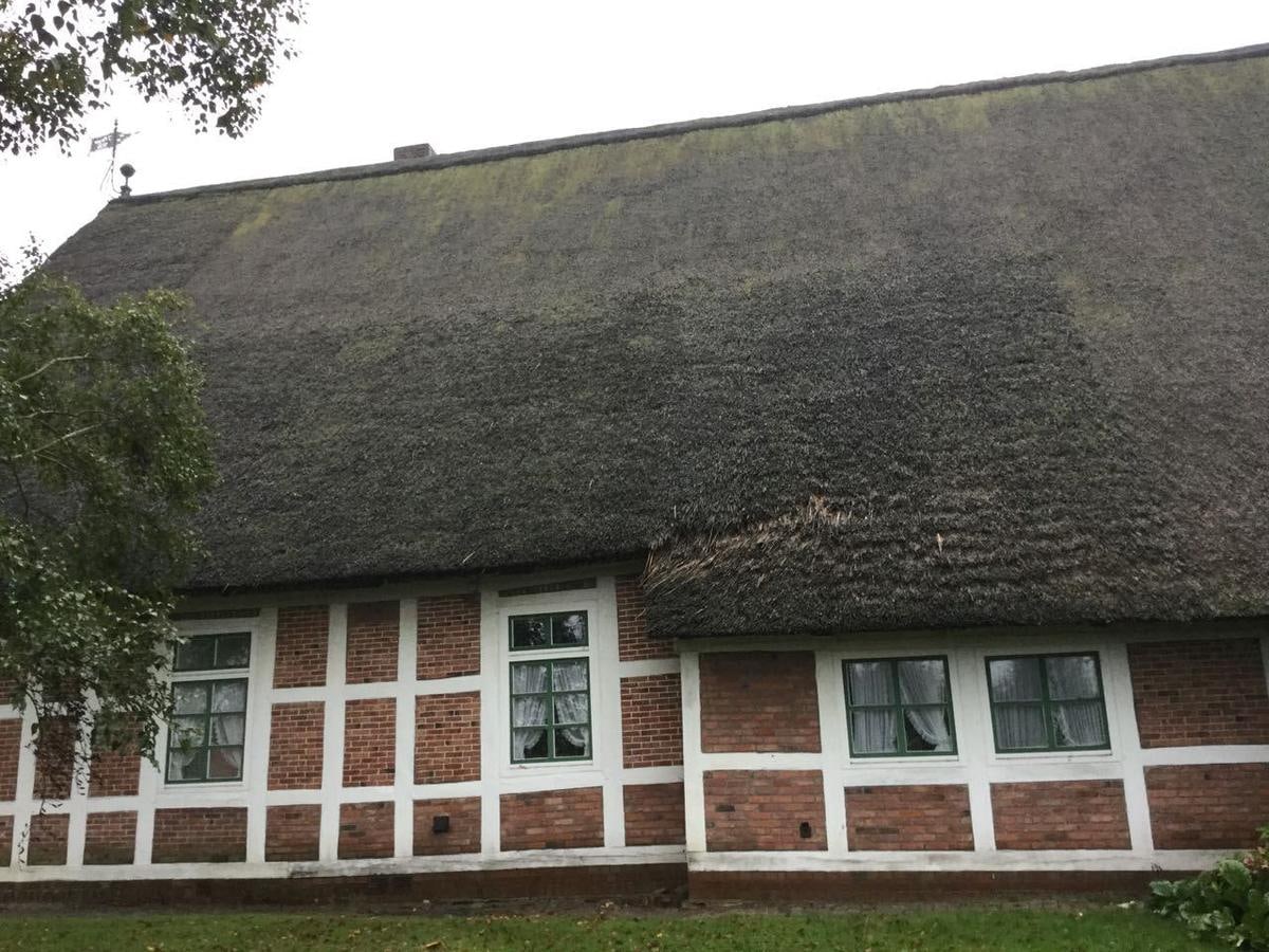 Langes Fachwerkhaus mit dunklem, bemoostem Reetdach.
