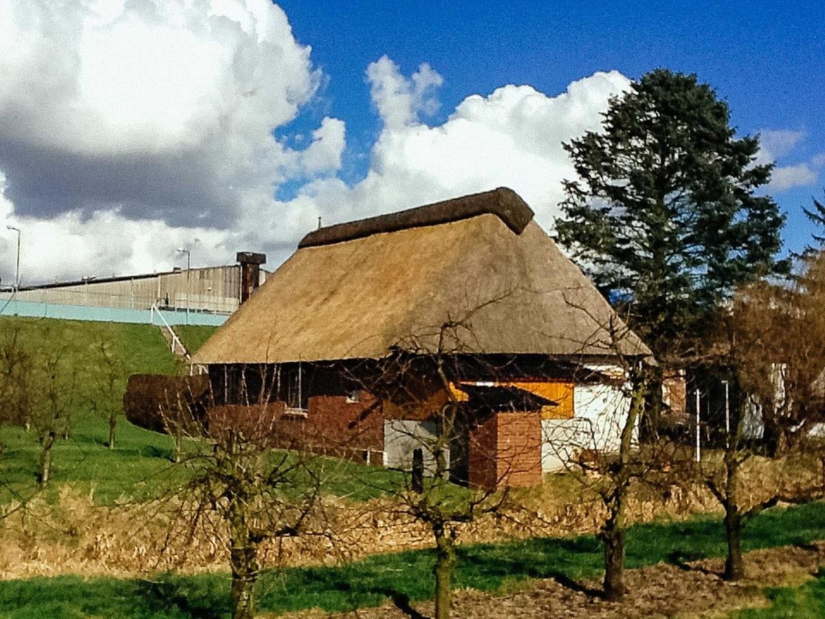 Reetdachhaus unter Wolken, dahinter der Deich.