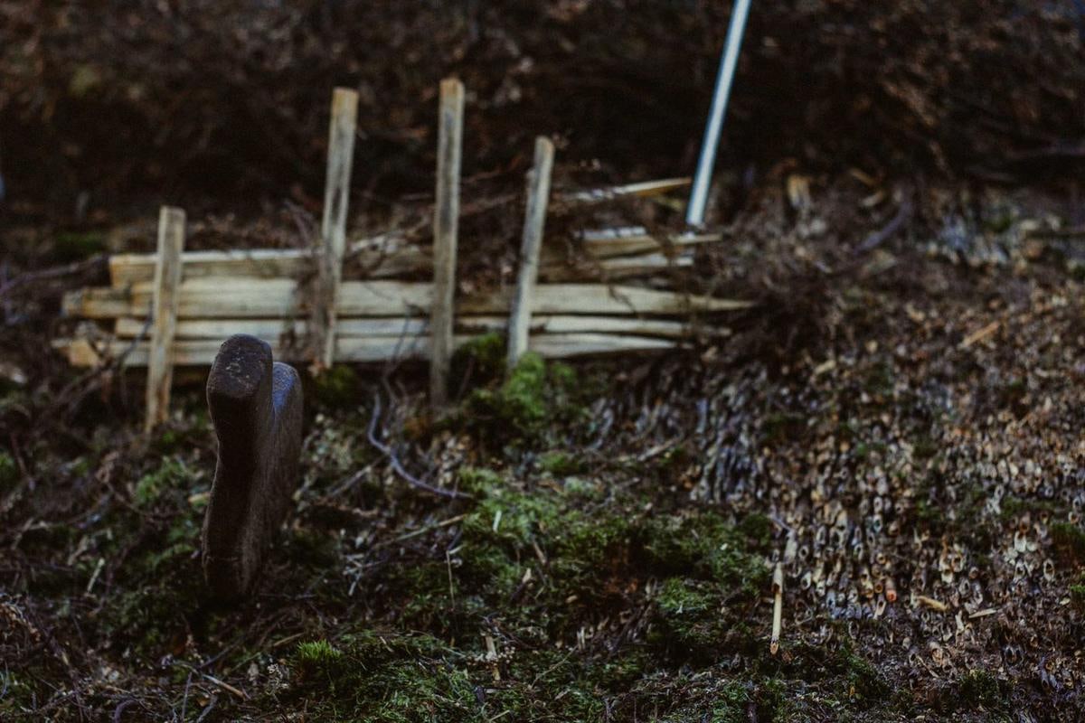 Holzpflöcke stecken in einer Reetfläche.