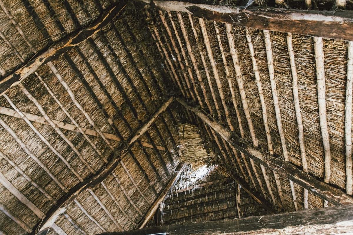 Dachunterseite mit runden Holzlatten und Reet, durch Lücken fällt Licht.