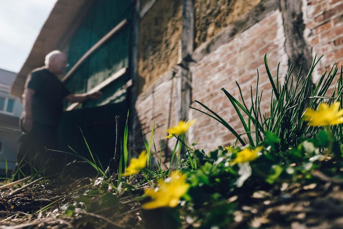 Gelbe Blumen vor einer Scheunenwand, im Hintergrund ein Mann.
