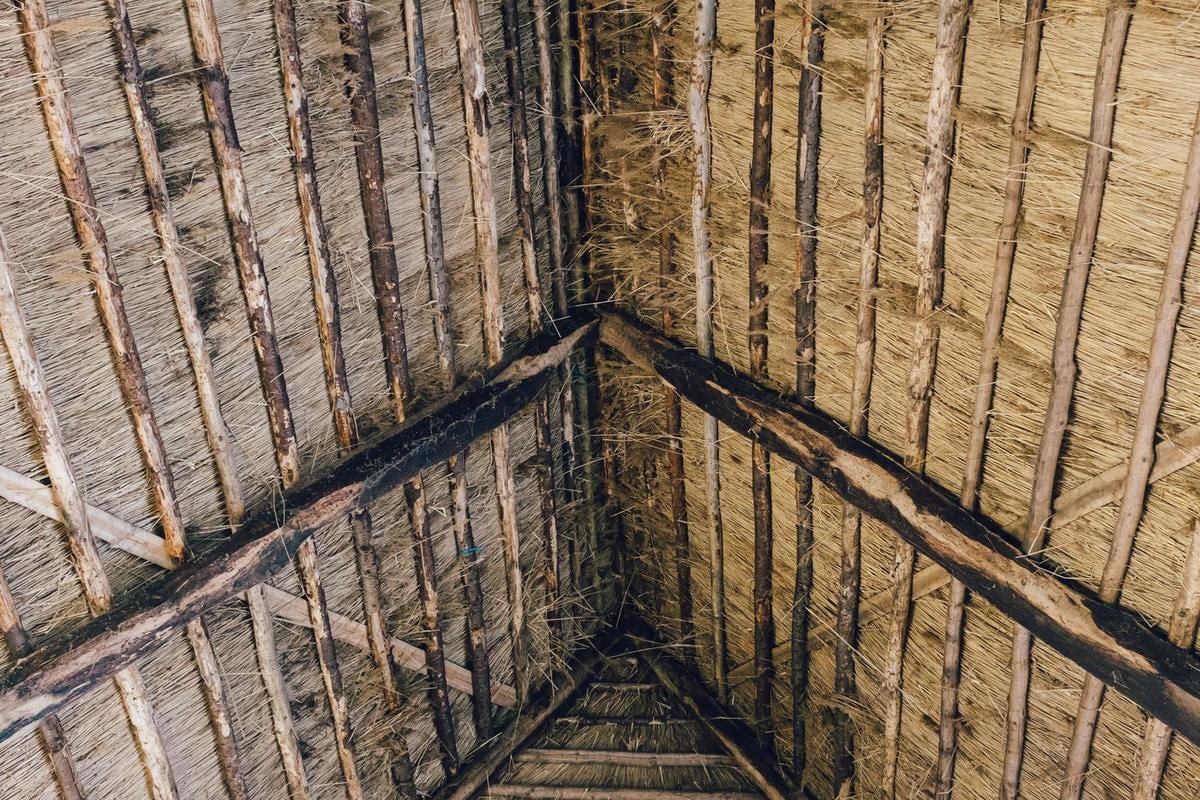 Blick in den Dachstuhl, Reet und runde Latten von unten, symmetrisch.